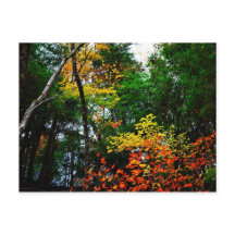 Fall in New England-postcard