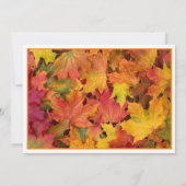 Fall laat foto's stranden om de uitnodiging op de  (Achterkant)