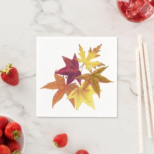 Fall laat servetten afdrukken (Insitu)