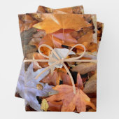 Fall Leaf Inpakpapier Vel (In situ)