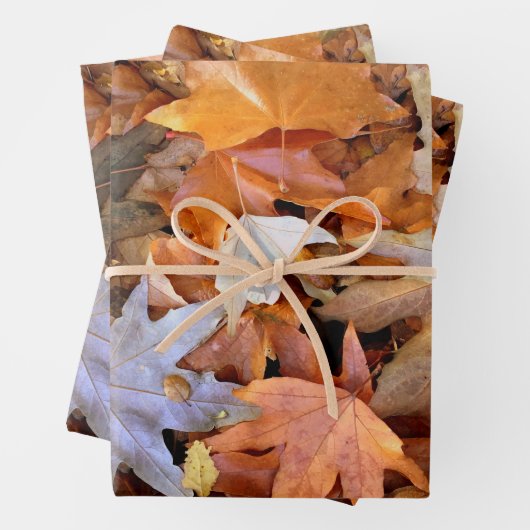 Fall Leaf Inpakpapier Vel (In situ)