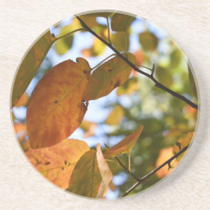 Fall Leaf Peeping Autumn Natuur Zandsteen Onderzetter