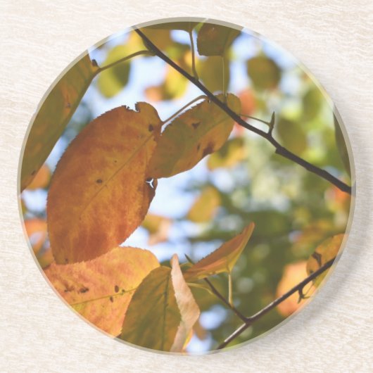 Fall Leaf Peeping Autumn Natuur Zandsteen Onderzetter (Voorkant)