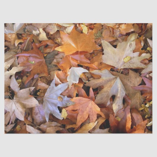 Fall Leaf Tissuepapier (Voorkant)