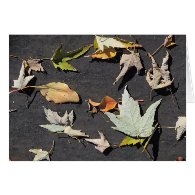 Fall Leaves 1 (Voorkant Horizontaal)