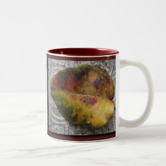 Fall Leaves 1 Mokken