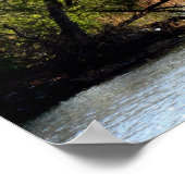 Fall Leaves - Autumn Beauty Poster (Hoek)