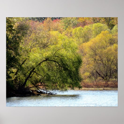 Fall Leaves - Autumn Beauty Poster (Voorkant)