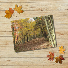 Fall Leaves Autumn Foliage Photo Holiday Briefkaart