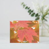 Fall Leaves Briefkaart (Staand voorkant)