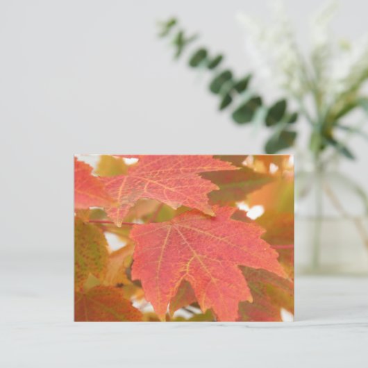 Fall Leaves Briefkaart (Staand voorkant)