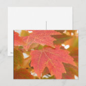 Fall Leaves Briefkaart (Voorkant / Achterkant)