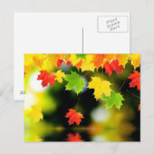 Fall Leaves Briefkaart (Voorkant / Achterkant)