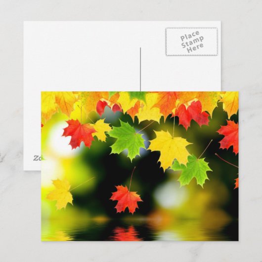 Fall Leaves Briefkaart (Voorkant / Achterkant)