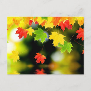 Fall Leaves Briefkaart