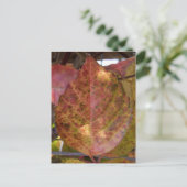 Fall Leaves briefkaart (Staand voorkant)