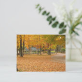 Fall Leaves Briefkaart (Staand voorkant)