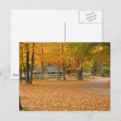 Fall Leaves Briefkaart (Voorkant / Achterkant)