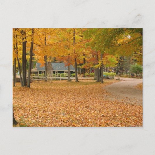 Fall Leaves Briefkaart (Voorkant)
