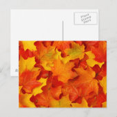 Fall Leaves Briefkaart (Voorkant / Achterkant)