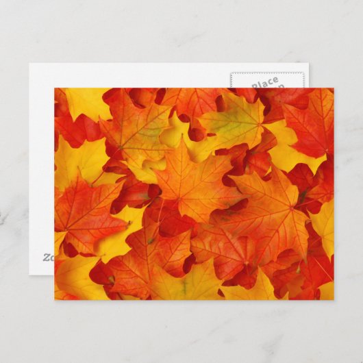 Fall Leaves Briefkaart (Voorkant / Achterkant)