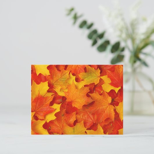 Fall Leaves Briefkaart (Staand voorkant)
