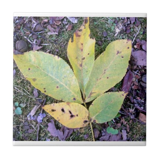 Fall Leaves Ceramic Tegel Tegeltje (Voorkant)