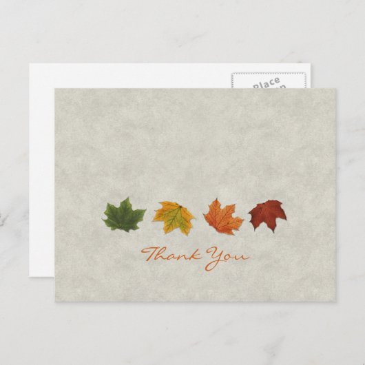 Fall Leaves Dank u briefkaart (Voorkant / Achterkant)
