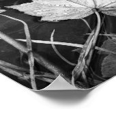 Fall Leaves Floating Zwart-wit Archival Poster (Hoek)