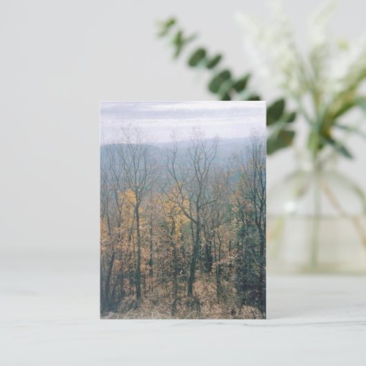 Fall Leaves - Georgia Briefkaart (Staand voorkant)