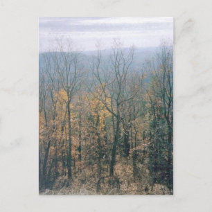 Fall Leaves - Georgia Briefkaart