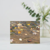 Fall Leaves in Pond Water Natuur Fotografie Briefkaart (Staand voorkant)