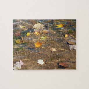 Fall Leaves in Pond Water Natuur Fotografie Legpuzzel