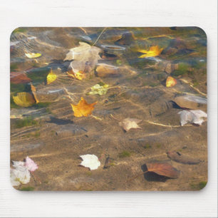Fall Leaves in Pond Water Natuur Fotografie Muismat