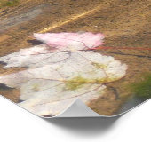 Fall Leaves in Pond Water Natuur Fotografie Poster (Hoek)