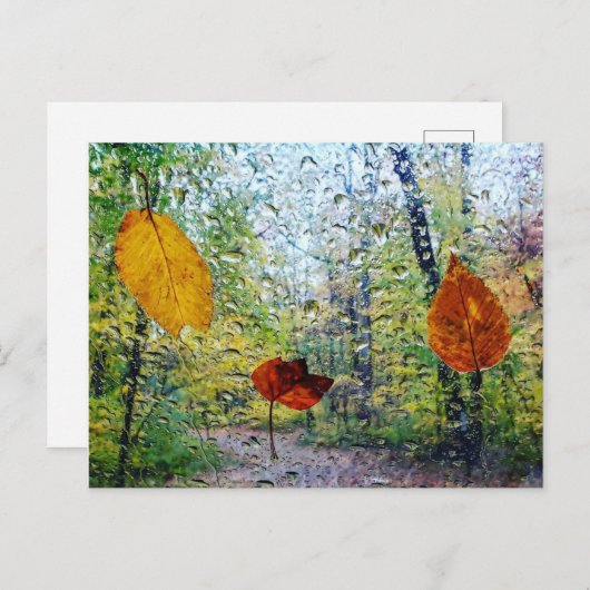 Fall Leaves In The Rain Postcard Briefkaart (Voorkant / Achterkant)