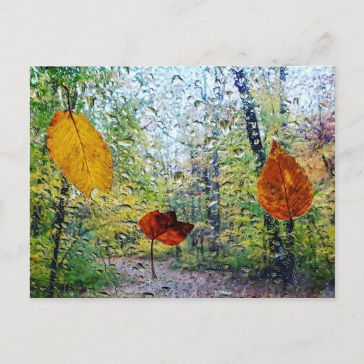 Fall Leaves In The Rain Postcard Briefkaart (Voorkant)