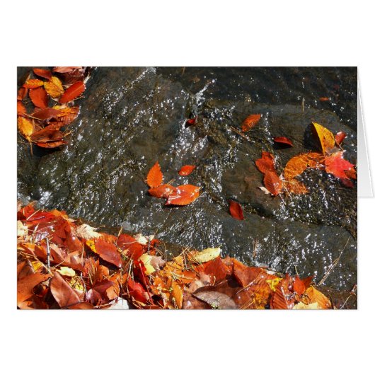 Fall Leaves in Waterfall I Autumn Photography (Voorkant Horizontaal)