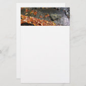 Fall Leaves in Waterfall I Autumn Photography Briefpapier (Voorkant / Achterkant)