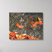 Fall Leaves in Waterfall I Autumn Photography Canvas Afdruk (Voorkant)