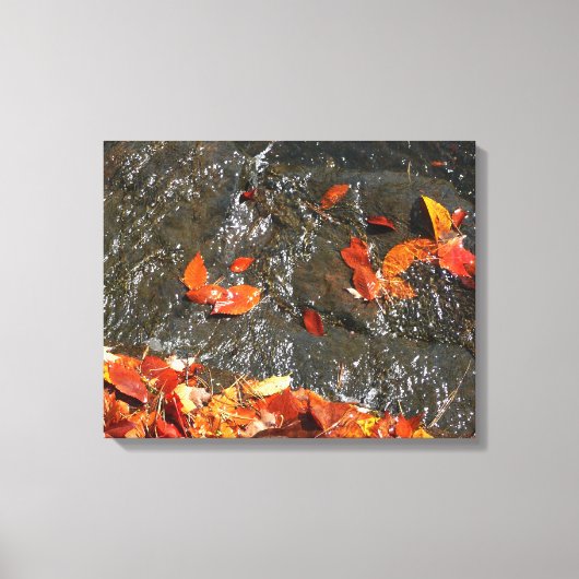 Fall Leaves in Waterfall I Autumn Photography Canvas Afdruk (Voorkant)
