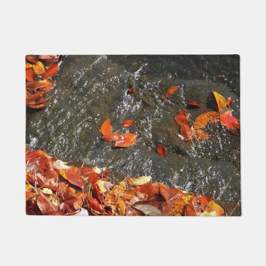 Fall Leaves in Waterfall I Autumn Photography Deurmat (Voorkant)