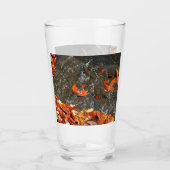 Fall Leaves in Waterfall I Autumn Photography Glas (Voorkant)