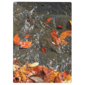 Fall Leaves in Waterfall I Autumn Photography Klembord (Achterkant)