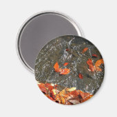 Fall Leaves in Waterfall I Autumn Photography Magneet (Voorkant / Achterkant)