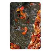 Fall Leaves in Waterfall I Autumn Photography Magneet (Verticaal)