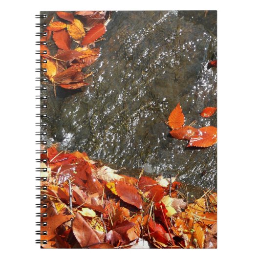 Fall Leaves in Waterfall I Autumn Photography Notitieboek (Voorkant)