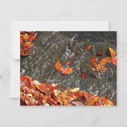 Fall Leaves in Waterfall I Autumn Photography Notitiekaartje (Voorkant)