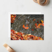 Fall Leaves in Waterfall I Autumn Photography Notitiekaartje (Voorkant / Achterkant in situ)