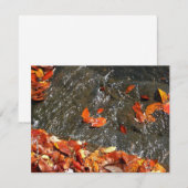 Fall Leaves in Waterfall I Autumn Photography Notitiekaartje (Voorkant / Achterkant)
